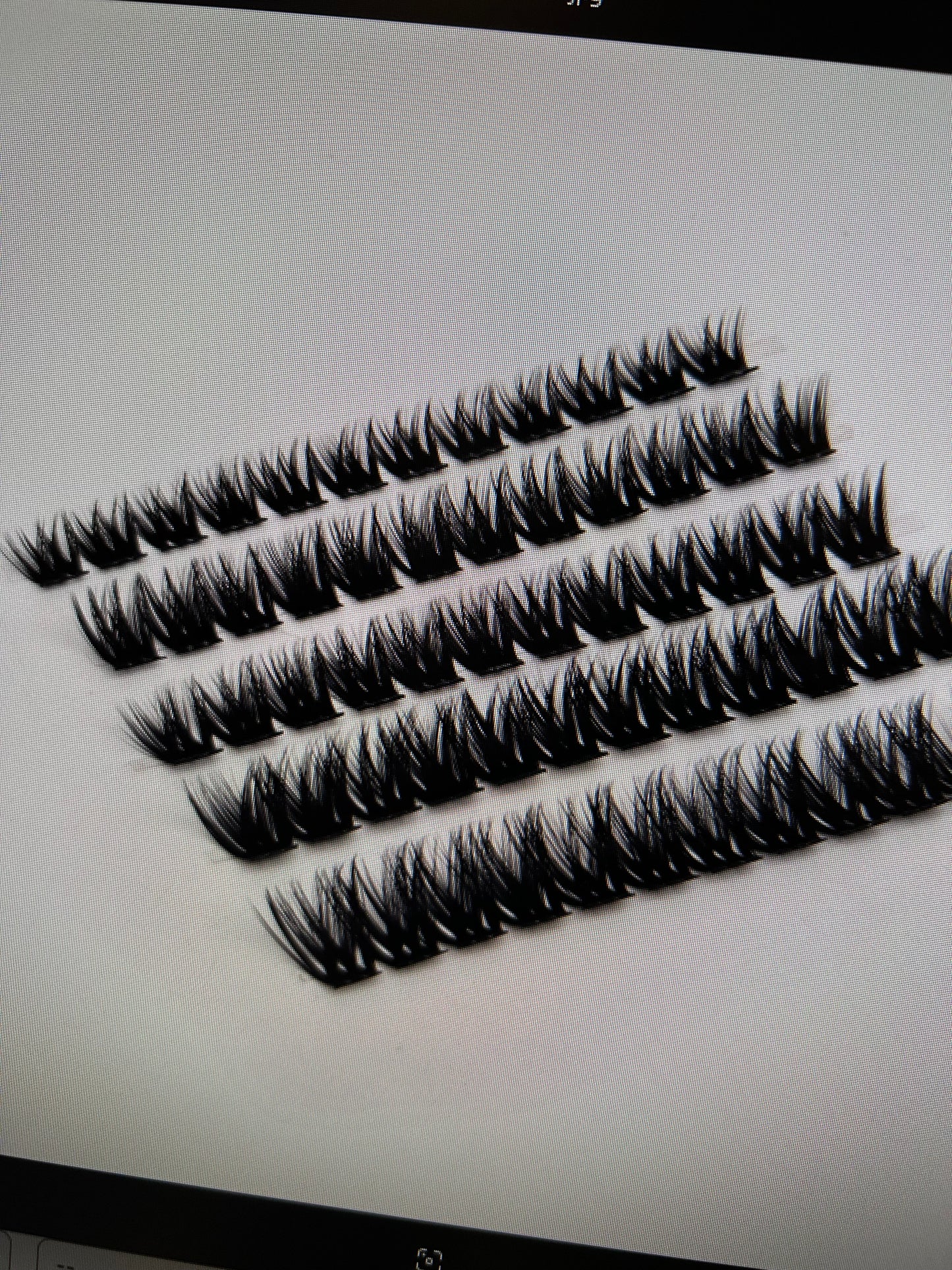 VIBRANT SASSY LASHES (Style: W53)